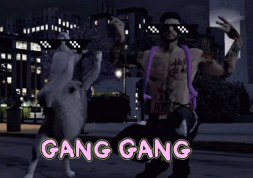 Gang Gang Man With His Dog Wearing Shades GIF