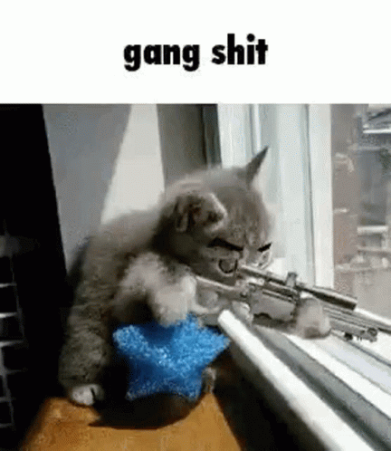 Gangster Cat Shooting GIF