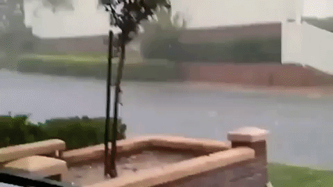 Garbage Bins Racing GIF