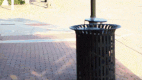 Garbage Looking Garbage Can GIF