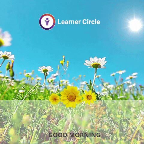 Garden Beautiful Flowers GIF