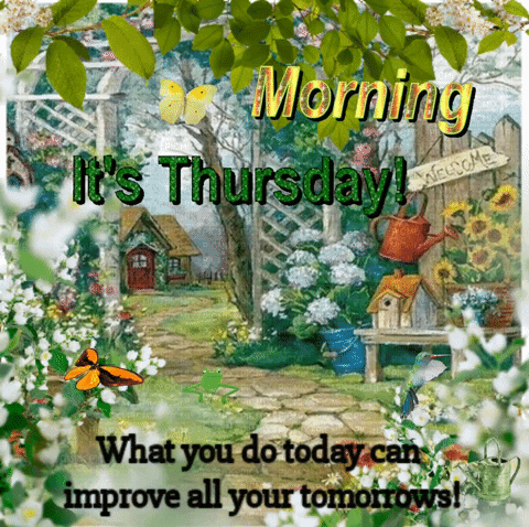Garden Morning It's Thursday