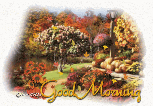 Garden Saying Good Morning