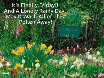 Garden With Flowers Saying It's Finally Friday