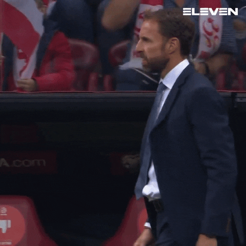 Gareth Southgate Slow Motion Clap Moments GIF