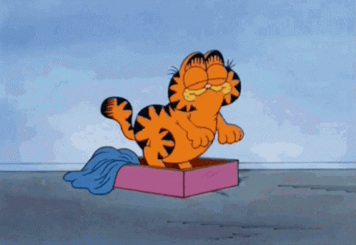 Garfield Adorable Victory Dance GIF