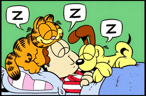 Garfield And Snoopy Sleeping In Bed GIF