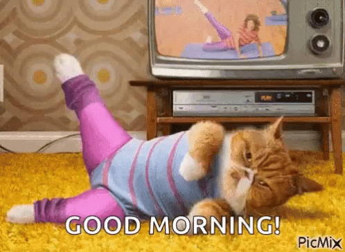 Garfield Cat Imitating Lazy Good Morning Exercise GIF