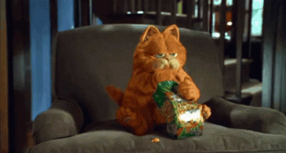 Garfield Eating Junk Food Watching Movie GIF