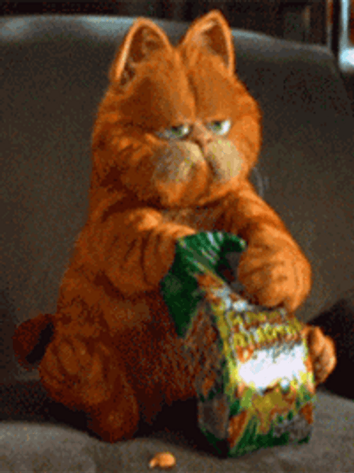 Garfield Eating Snacks GIF