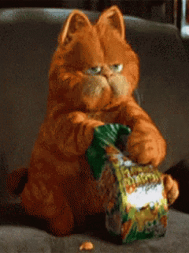 Garfield Eating Snacks GIF