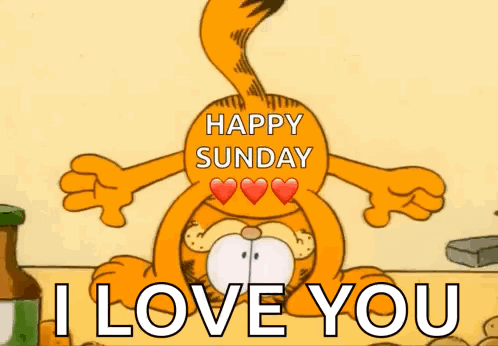 Garfield Happy Sunday I Love You with Hearts