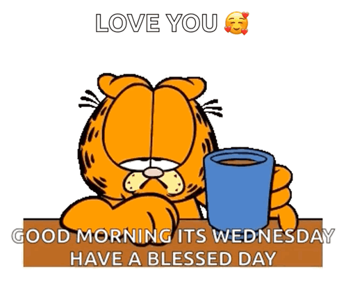Garfield Holding Coffee Good Morning Wednesday Blessed Day