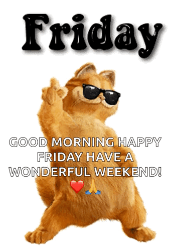 Garfield In Sunglasses Giving Middle Finger Happy Friday GIF