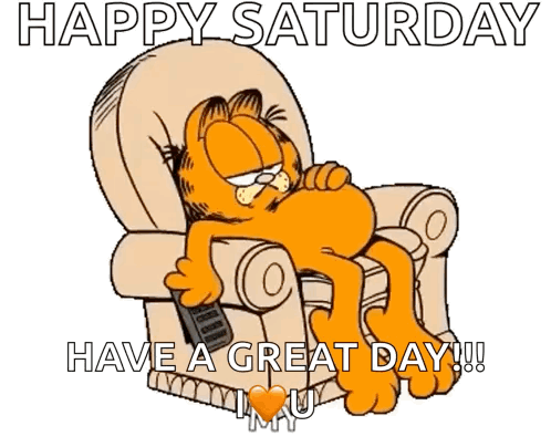 garfield is laying in a chair holding a remote control and says happy saturday have a great day !!!