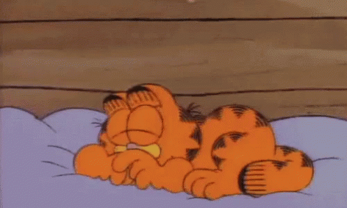 Garfield Is Laying On A Bed Holding A White Pillow GIF