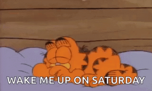 garfield is laying on a bed with a pillow and the words `` wake me up on saturday '' written on it .