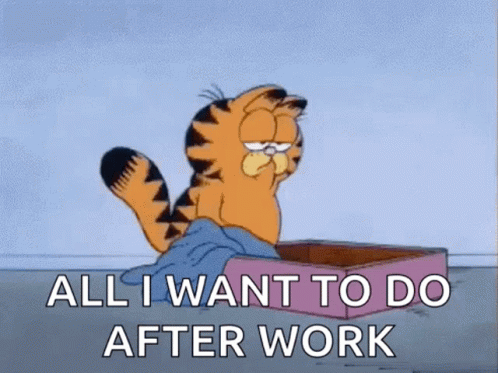 Garfield Is Sitting In A Box And Says `` All I Want To Do After Work '' GIF
