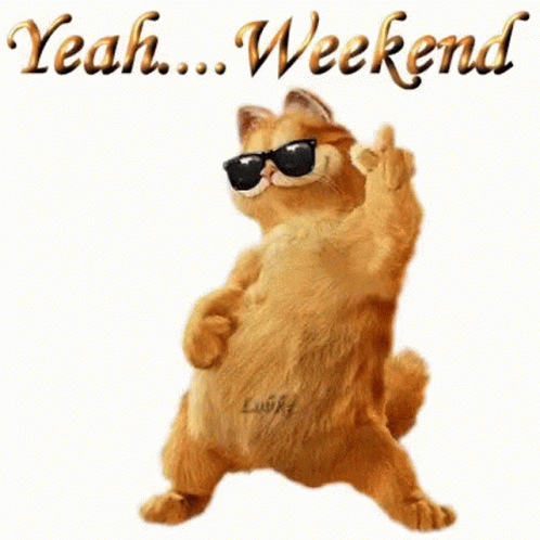 Garfield Is Wearing Sunglasses And Giving The Middle Finger While Dancing . GIF