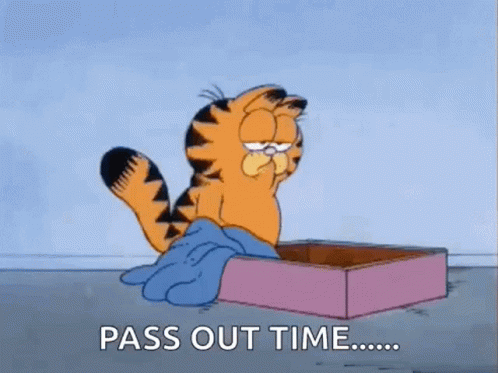 Garfield Pass Out Time GIF
