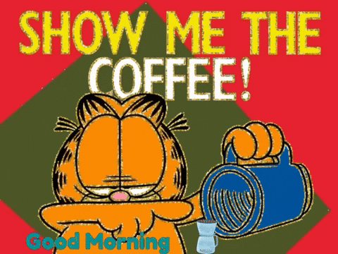 Garfield Pouring Coffee Show Me the Coffee Good Morning