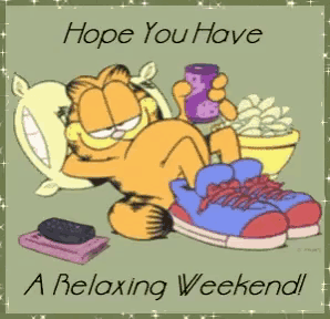 Garfield Relaxing Weekend Gif GIF