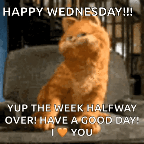 Garfield Says Happy Wednesday Week Halfway Over GIF