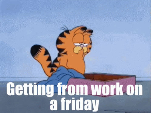 Garfield Sitting In Box Getting From Work On A Friday GIF