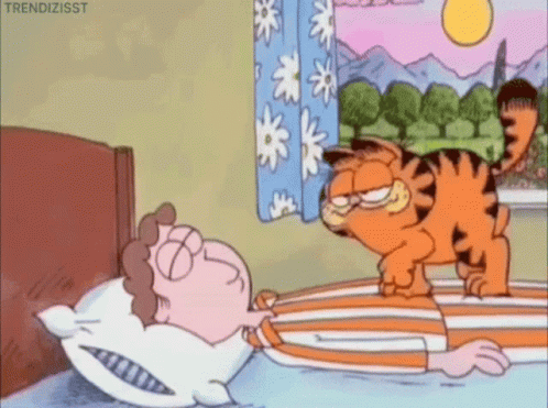 Garfield Standing on Bed Next to Sleeping Person