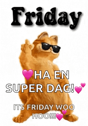 Garfield Sunglasses Friday Ha En Super Dag