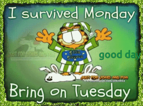 Garfield Survived Another Monday GIF