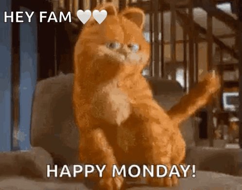 Garfield The Cat Is Sitting On A Couch And Says Happy Monday . GIF