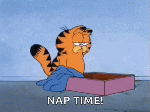 Garfield Tired He Need Nap Time GIF
