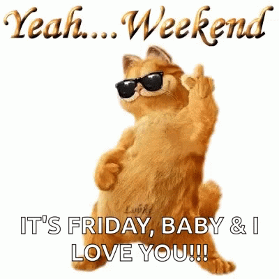 Garfield Wearing Sunglasses Giving Middle Finger