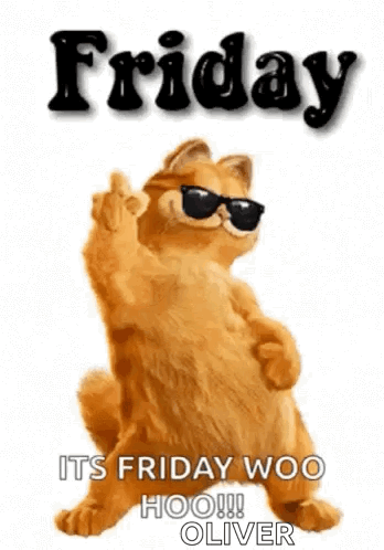 Garfield Wearing Sunglasses Making Middle Finger