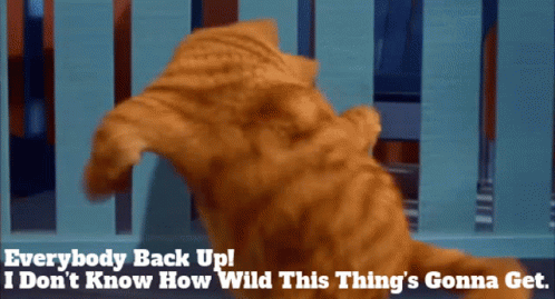 Garfield Wild Things GIF