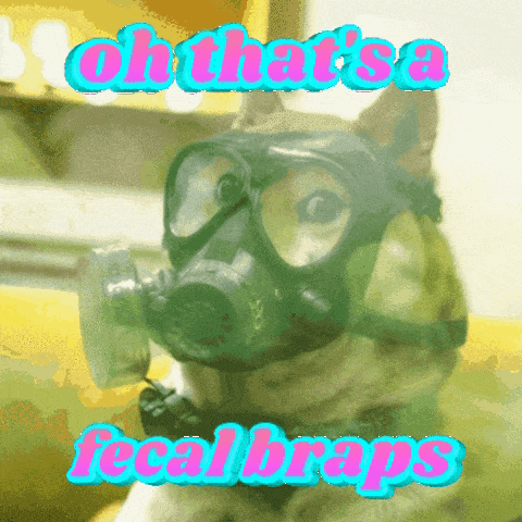 Gas Mask Dog That's Fecal Braps GIF