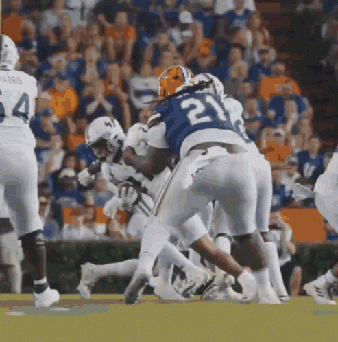 Gators Chaotic Players GIF