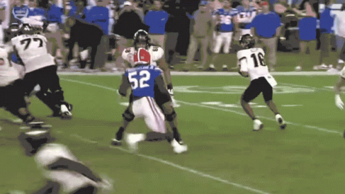 Gators Fighting Team GIF