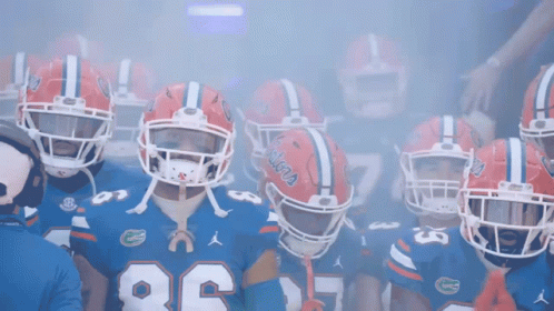 Gators Team Head Protector GIF