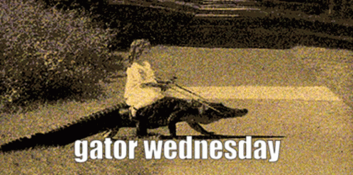 Gators Wednesday In The Road GIF
