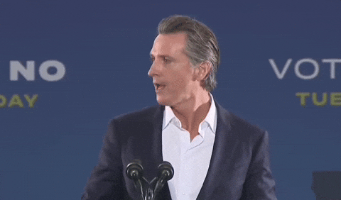 Gavin Newsom California Day GIF