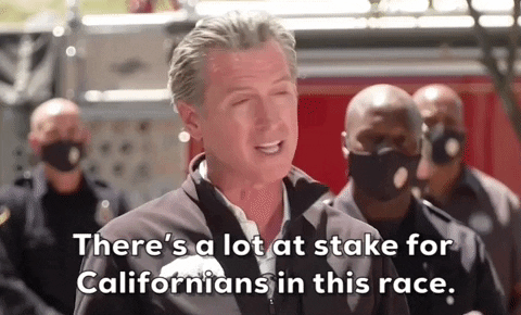 Gavin Newsom California Race GIF