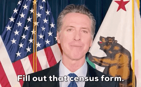 Gavin Newsom Fill Out That Census Form GIF
