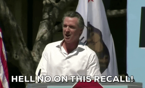 Gavin Newsom Hell No To Recall GIF