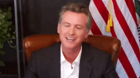 Gavin Newsom I Hate To Disabuse You GIF