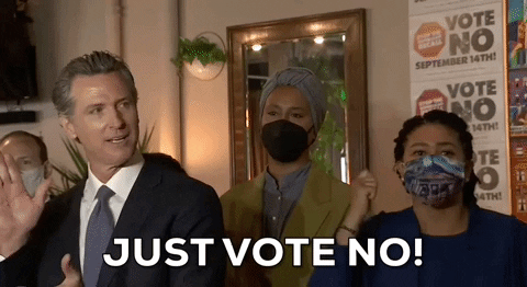 Gavin Newsom Just Vote No GIF