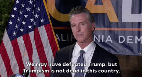 Gavin Newsom May You Defeated Trump GIF