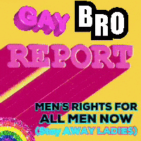 Gay Bro Report Poster GIF