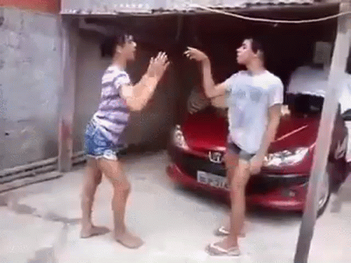 Funny Gay Cat Fight Meme GIF